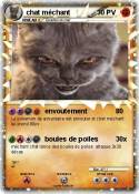 chat méchant