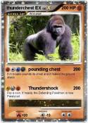 thunderchest