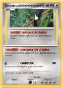 Toucan