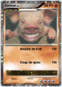 Cochon