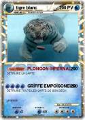 tigre blanc