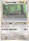 bidoof in reali