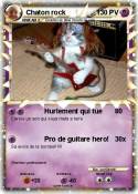 Chaton rock