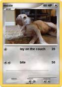 moxie