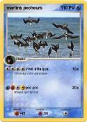 martins pecheur
