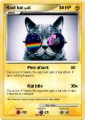 Kool kat