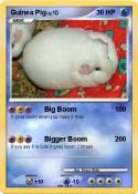 Guinea Pig