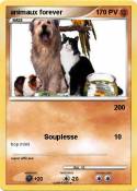 animaux forever
