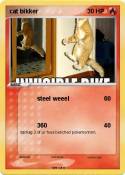 cat bikker
