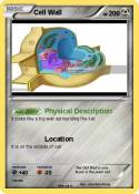 Cell Wall