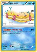 Cytoplasm