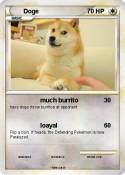Doge