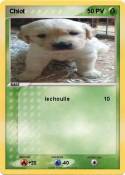 Chiot