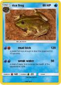 rice frog