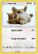 Petit chat