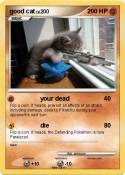 good cat