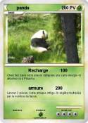 panda