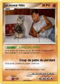 Le joueur