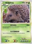 Hedgehog