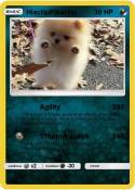 HiachuPikachu