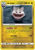 cat shark