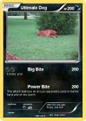 Ultimate Dog
