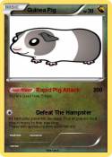 Guinea Pig