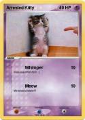 Arrested Kitty
