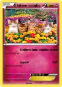 5 kitten combo