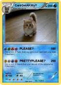 CanIGetAKitty?