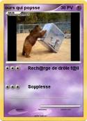 ours qui poµsse