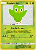 Duolingo Owl