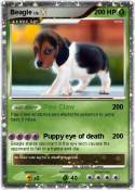 Beagle