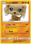 Cocker Spaniel