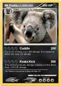 Mr.Koala