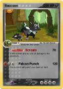 Raccoon