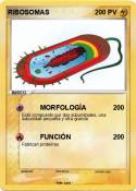 RIBOSOMAS