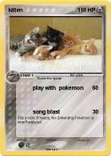 kitten