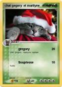 chat gegory et