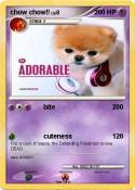 chow chow!!