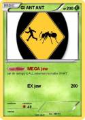 GI ANT ANT