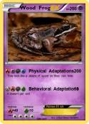 Wood Frog
