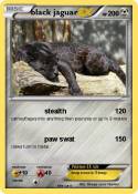 black jaguar