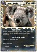 menor koala