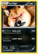 Sus doge