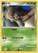 MILO GX