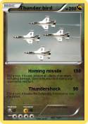 Thunder bird