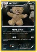 MR TEDDY