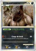 Ecureil musclor
