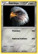 Bald Eagle